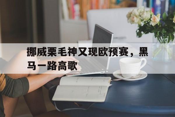 DB彩票官网-包含挪威栗毛神又现欧预赛，黑马一路高歌的词条