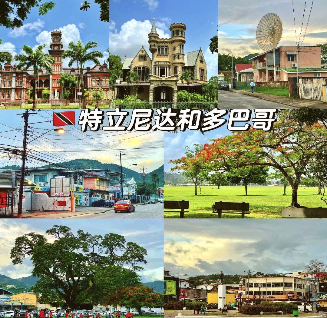 特立尼达和多巴哥欧预赛强胜，教练大誉