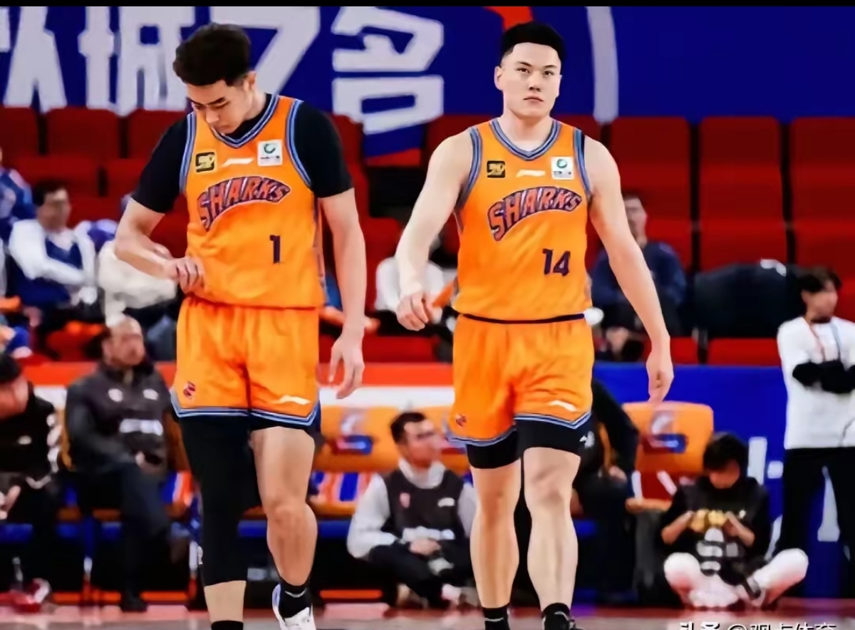 DB gaming-上海男篮遭遇连败，备战关键战役