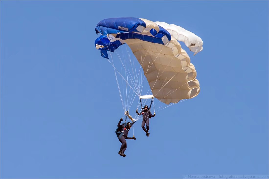 -智利代表团摘桂冠，引领风向
